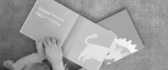 Fifty Two World Baby Reading Bilingual Books Video