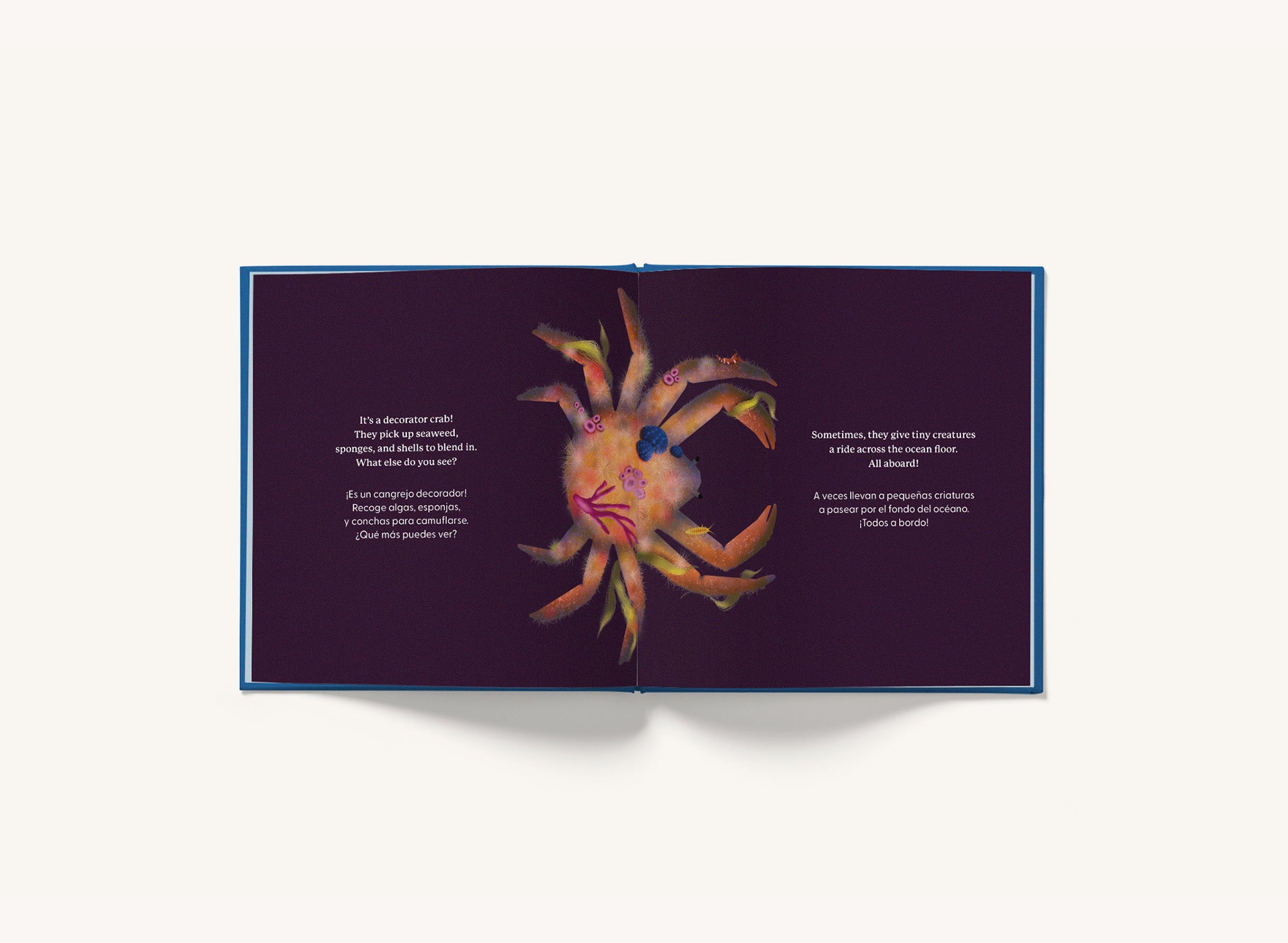 Whose Booty Is That? Ocean