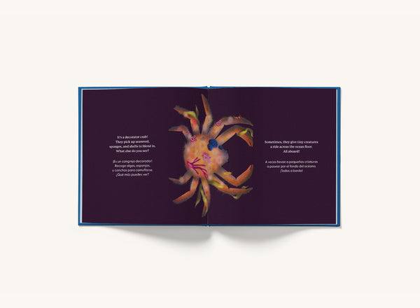 Whose Booty Is That? Ocean