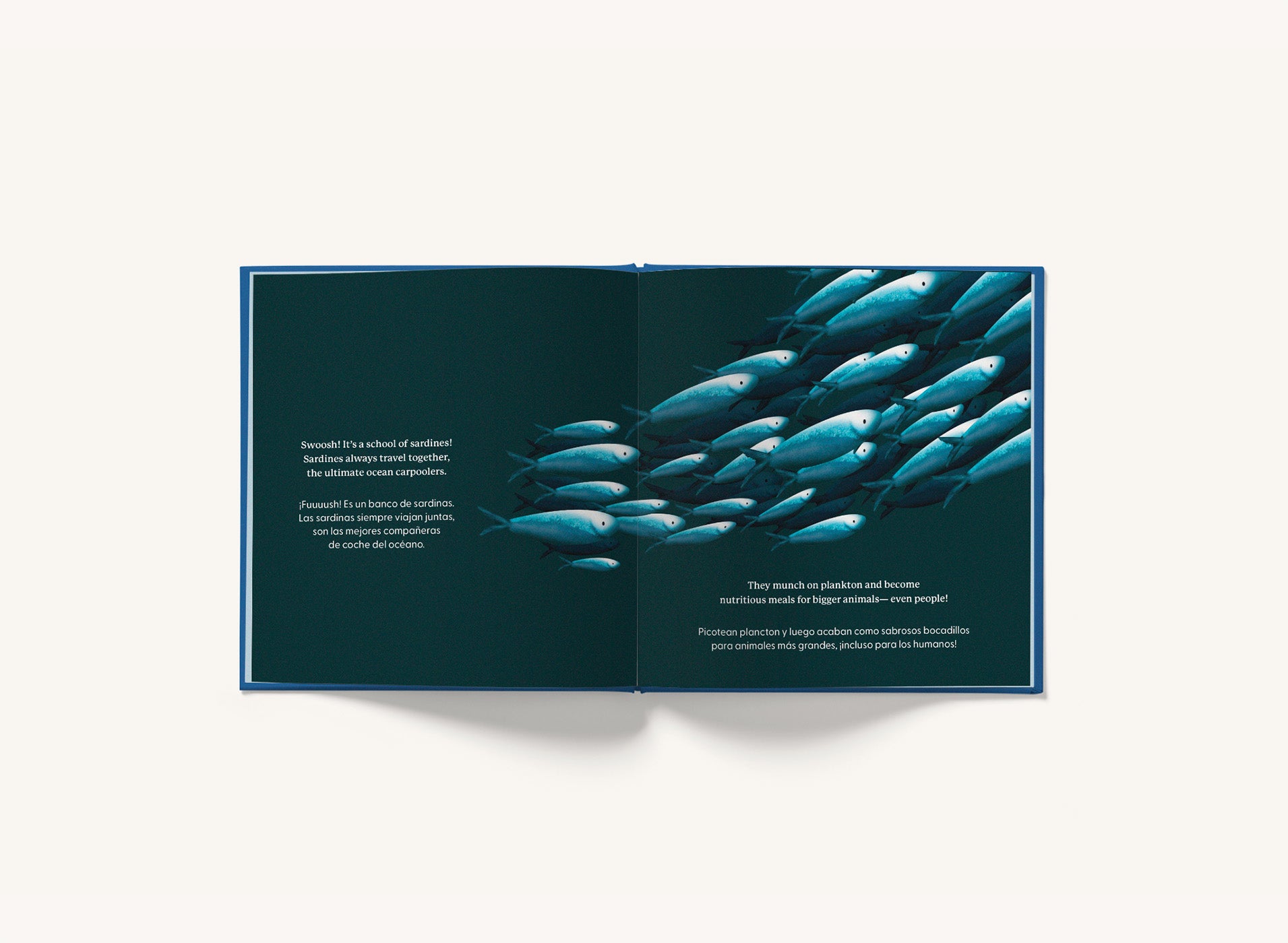 Whose Booty Is That? Ocean