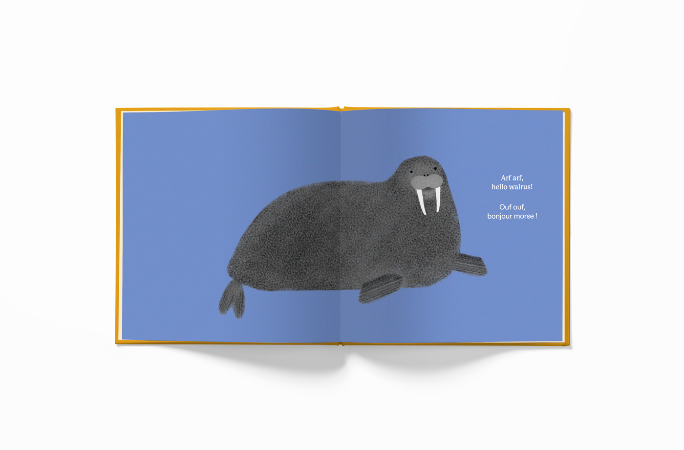 Inner page of Fifty Two World (52 World) book Whose Booty is That? walrus in bilingual English-French