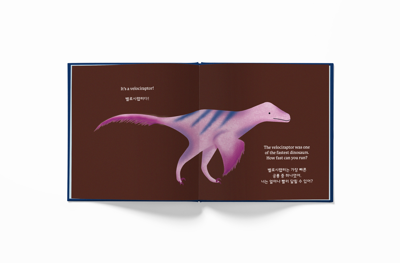 Inner page of Fifty Two World (52 World) book Whose Booty is That? Dino Version Velociraptor in bilingual English-Korean