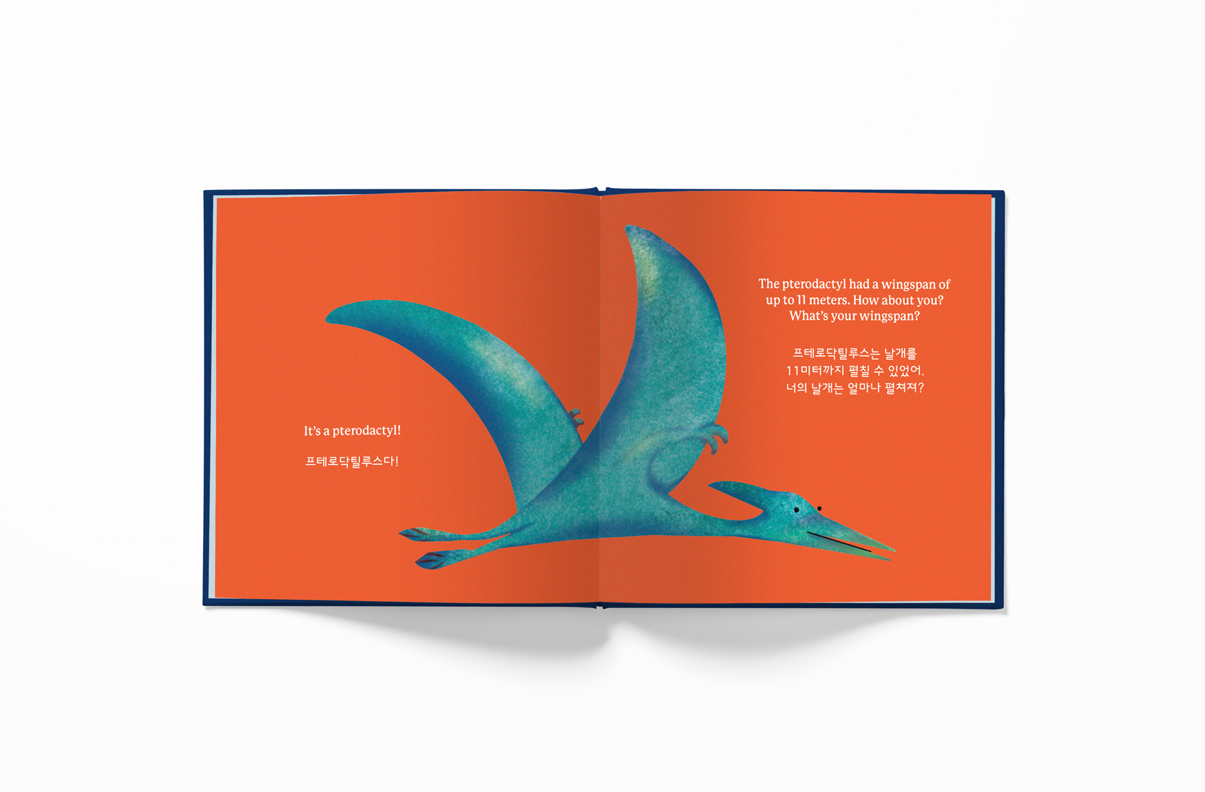 Inner page of Fifty Two World (52 World) book Whose Booty is That? Dino Version Pterodactyl in bilingual English-Korean